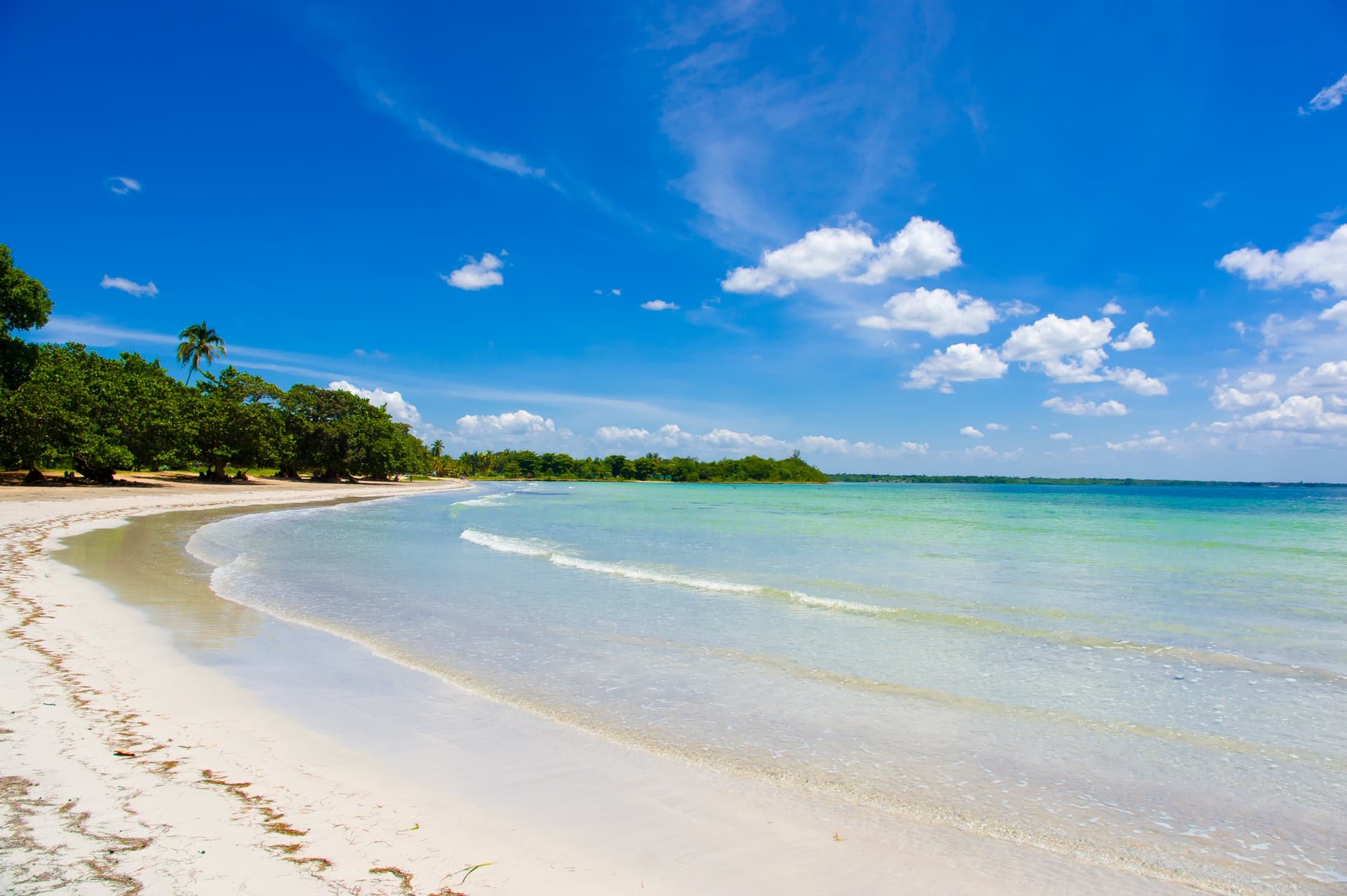 Bahía de Cochinos