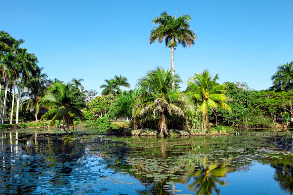 cienaga de zapata3